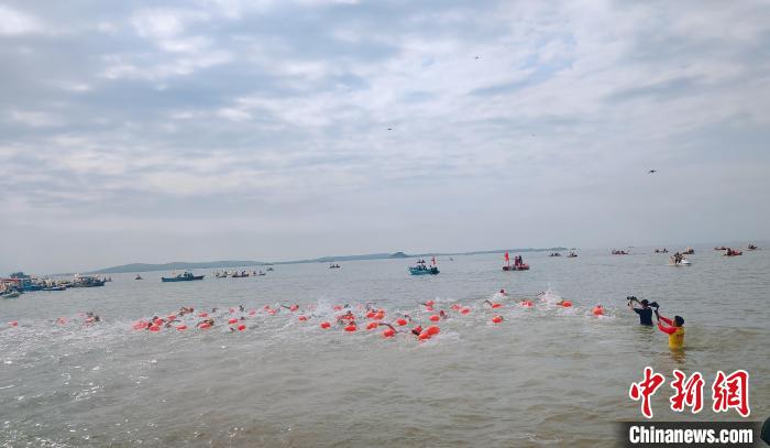 厦金海峡横渡重启两岸港澳近200名选手角逐