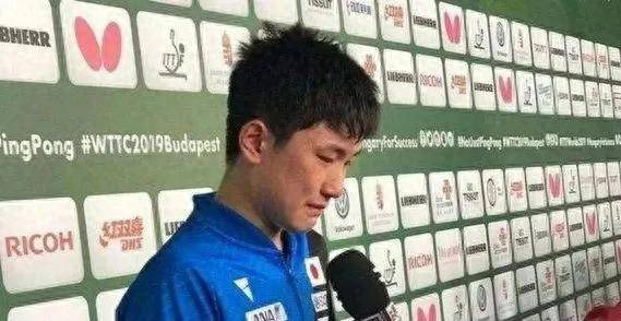 张本智和家族归化日本挑战国乒霸主地位
