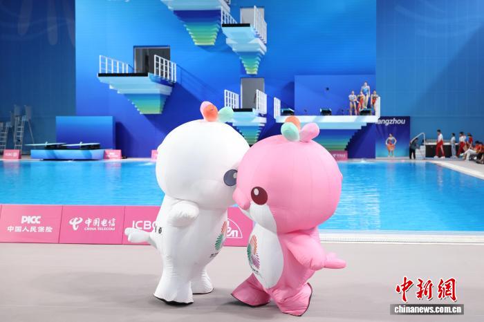 粤港澳全运会的动物符号:解码大湾区在生态保